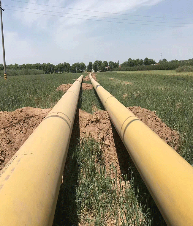 �齫����2(�й���)�ٷ���վ - IOS/��׿ͨ�ð�/�ֻ�APP����